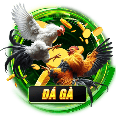 đá gà e2bet